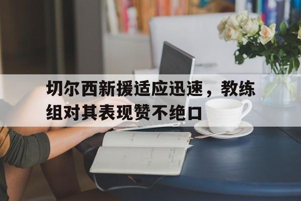 关于切尔西新援适应迅速，教练组对其表现赞不绝口的信息